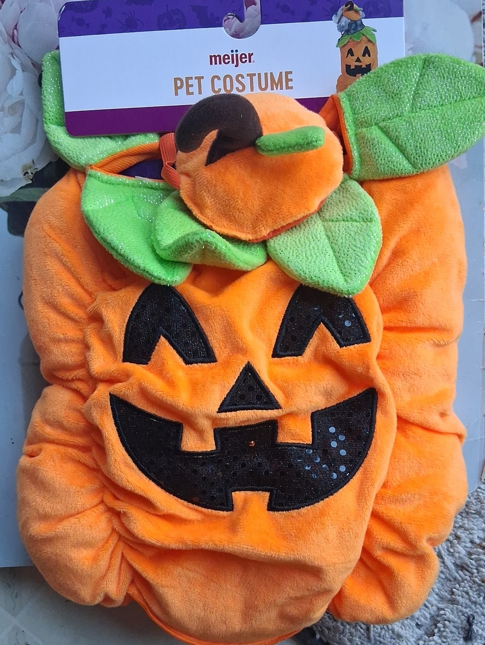 Pet Pumpkin Costume in Orange with Green Leaves